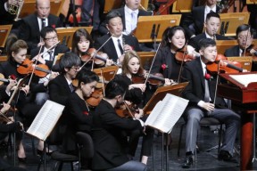 加拿大队观众热烈欢呼！，穆雷迎来十赛季出色发挥热度持续攀升的简单介绍